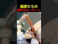 画家たちの意外なルーティン