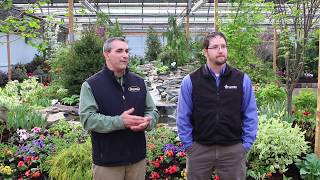 The Making of an Adams Garden Show