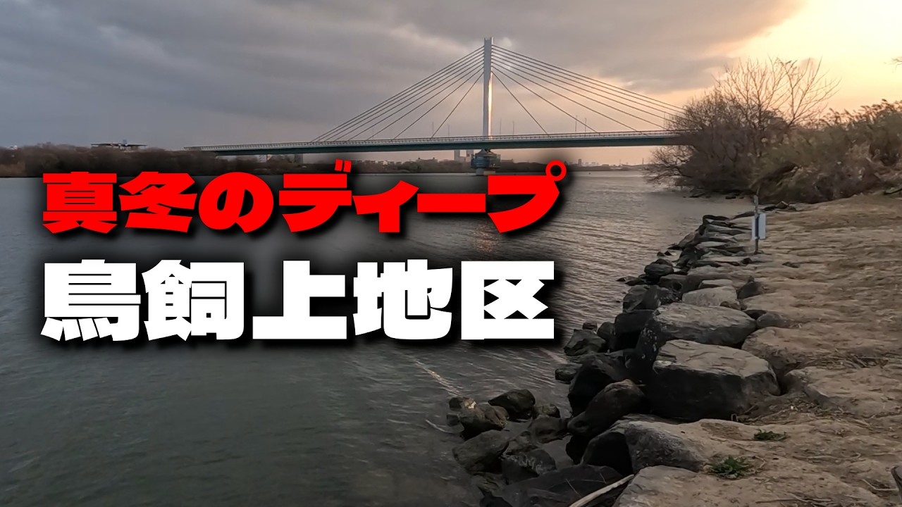 【淀川バス釣り】真冬のディープエリア 鳥飼上地区（右岸）