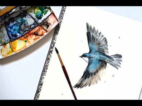 Painting a Tree Swallow with Watercolors