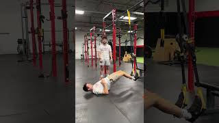 TRX Hamstring Curl
