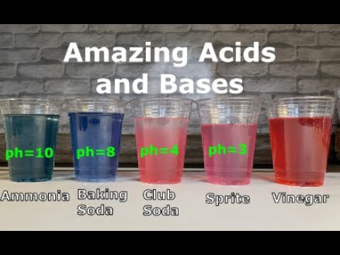 Amazing Acids and Bases