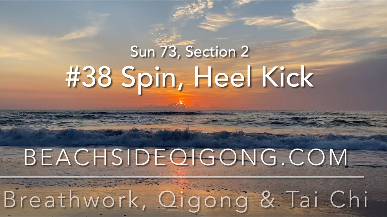Sun 73 Tai Chi Course, Section 2, Move #38 Spin Heel Kick right