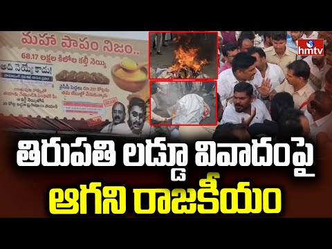 తిరుపతి లడ్డూ వివాదంపై ఆగని రాజకీయం | Tirumala Laddu controversy | hmtv - HMTVNEWS