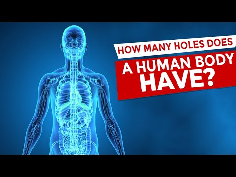 How Many Holes