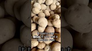 Richard Wrangham Reveals How Cooking a Potato Unlocks More Energy
