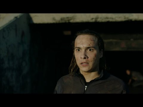 Fear The Walking