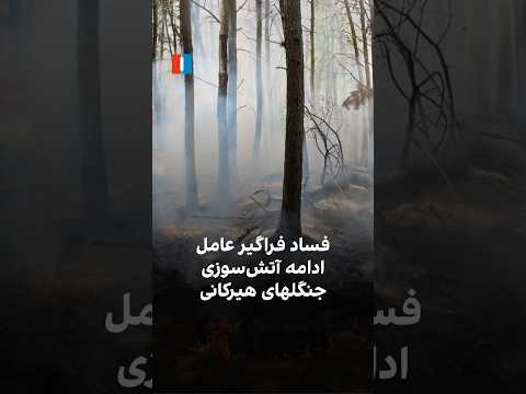فساد فراگیر عامل ادامه آتش سوری جنگل های هیرکانی