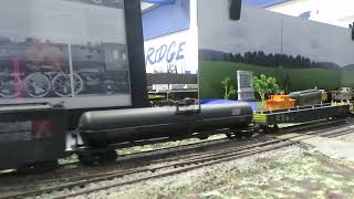 MVI 6206