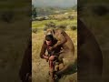 I NEED MY BUFFALO! #rdr2 #reddeadredemption2 #rdro