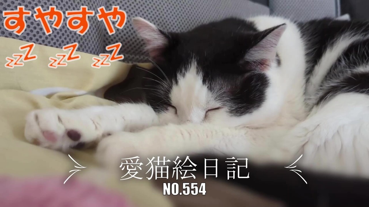 愛猫絵日記-554】気持ち良さそうに寝ているけど・・・ - YouTube