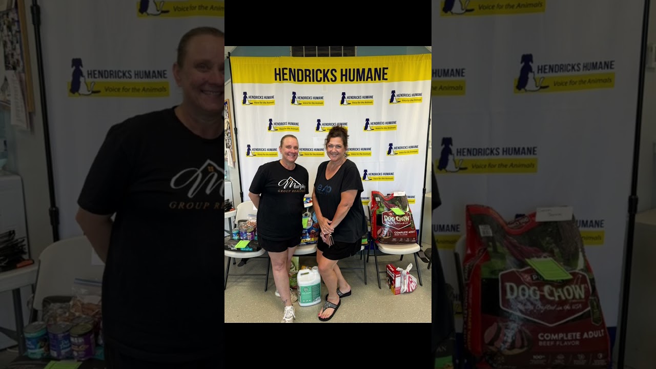 Our first weekly update! 