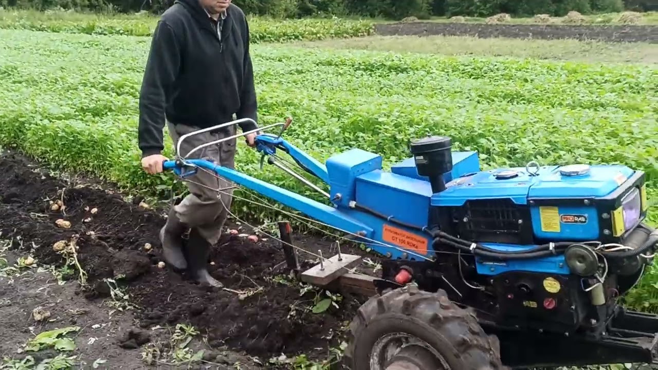 Распахал последнюю грядку - урожай 2023 года !