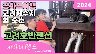 [서주니의 2024 강화도 여행 2] 고려호반펜션 소나무방 고양이 강아지들이 있어요