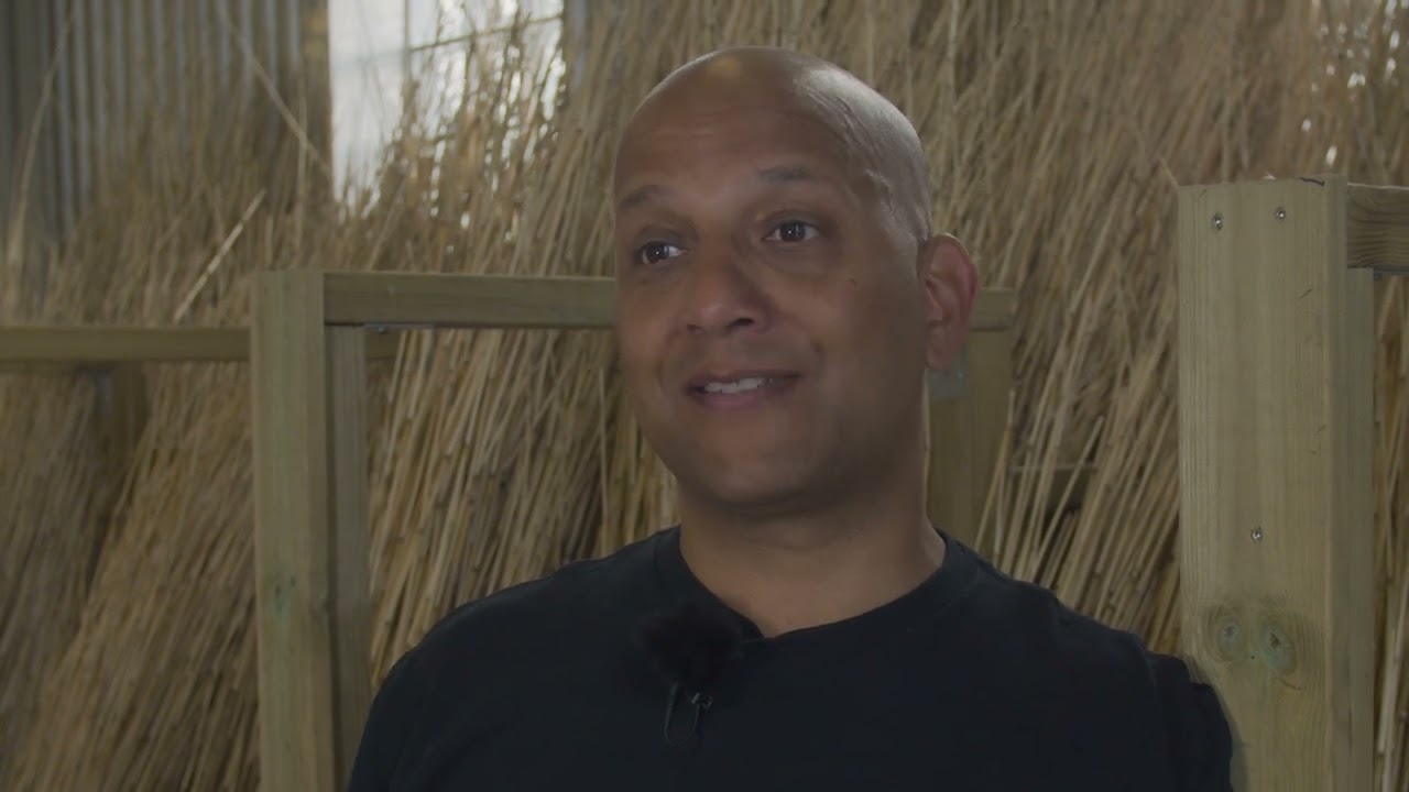 BalticReed - reed straws and disposables