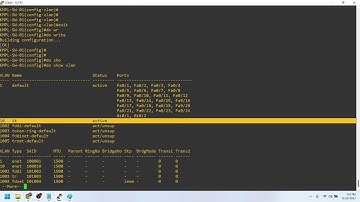 Vlan - Access and Trunk Vlan configuration in Cisco Switch in nepali
