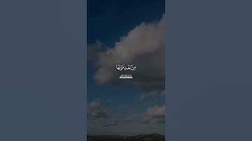 سورة العنكبوت آية 63  القارئ: عبدالرحمن مسعد