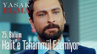 Alihan Halite Tahammül Edemiyor - Yasak Elma 25 Bölüm