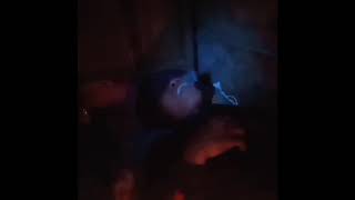 Download Lagu Story lucu w.a azab MP3