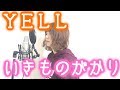 【YELL】いきものがかり　カバー