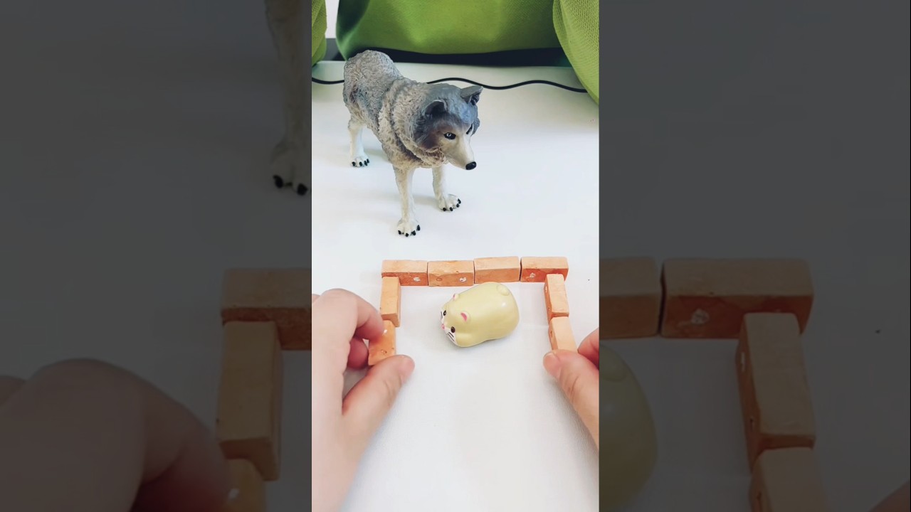 The Little Hamster’s Amazing Castle Adventure ! #shorts
