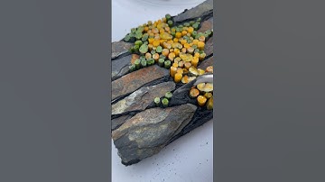 Working on a mosaic project: setting glass & slate into thinset #shorts #mosaicart #satisfying