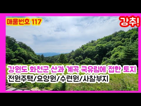 강원도(화천)시내10분 산과 계곡 국유림에 접한 자연풍광이 멋진 토지/계획관리지역/전원주택/요양원/수련원/사찰부지/화천군산천어축제