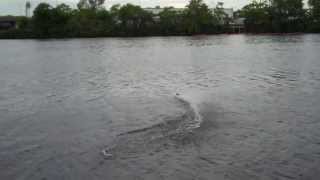 Atomik Barbwire Boat on the Charles