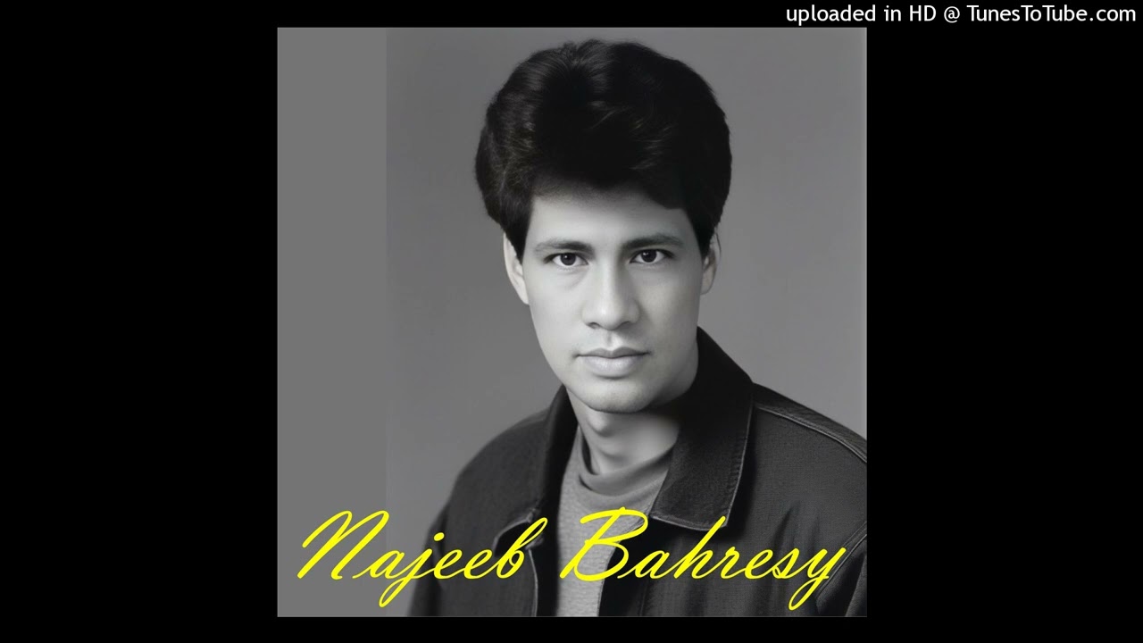 Najeeb Bahresy (Lagu Tegalan) - Ketemu Maning