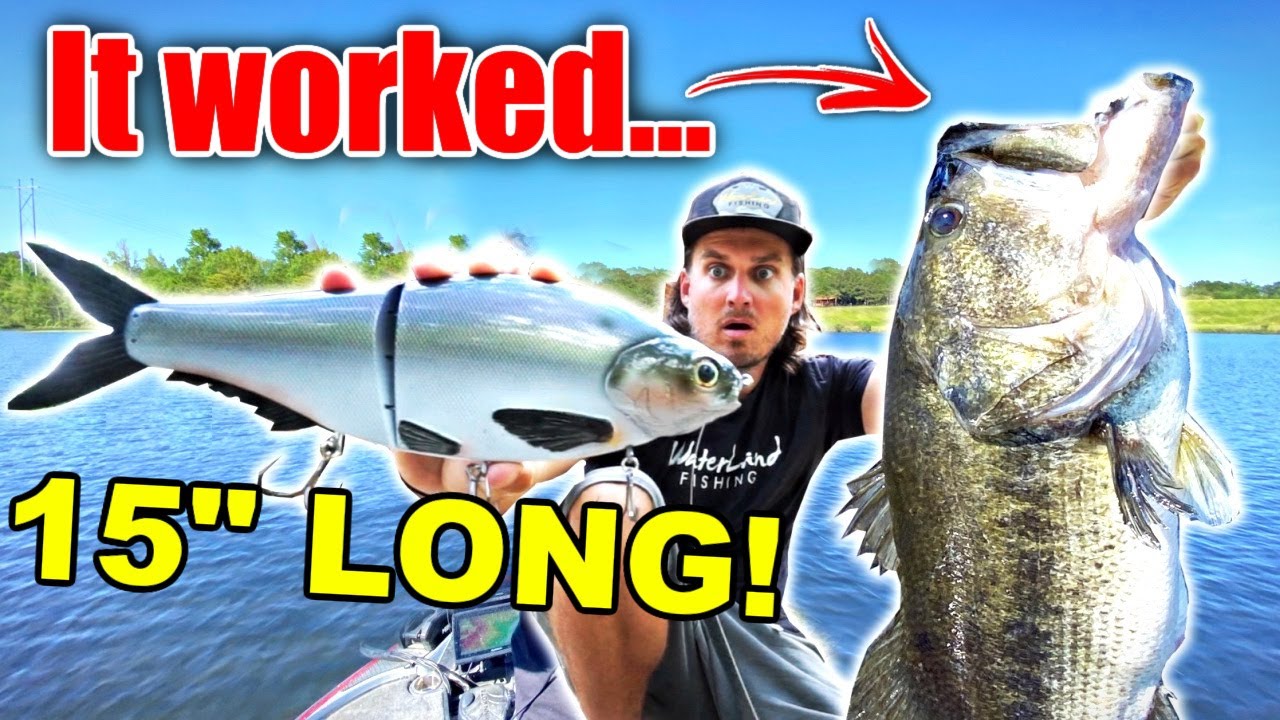 Watch The WORLD'S BIGGEST Shad Swimbait is the ONLY Bait Giant Fish would  Eat?! (15 Inch Fishing Lure) Video on