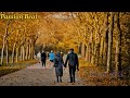 KARAOKE: TÌNH CUỐI CHÂN MÂY( TKNTM ) | TONE NAM | PASSION BEAT.