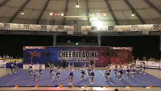 ACIC 2018 Team 71  Team Advance