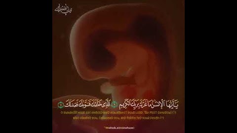 ياأيها الإنسان ما غرك بربك الكريم #المنشاوي #تلاوة_خاشعة #حالات #ستوريات #دينية