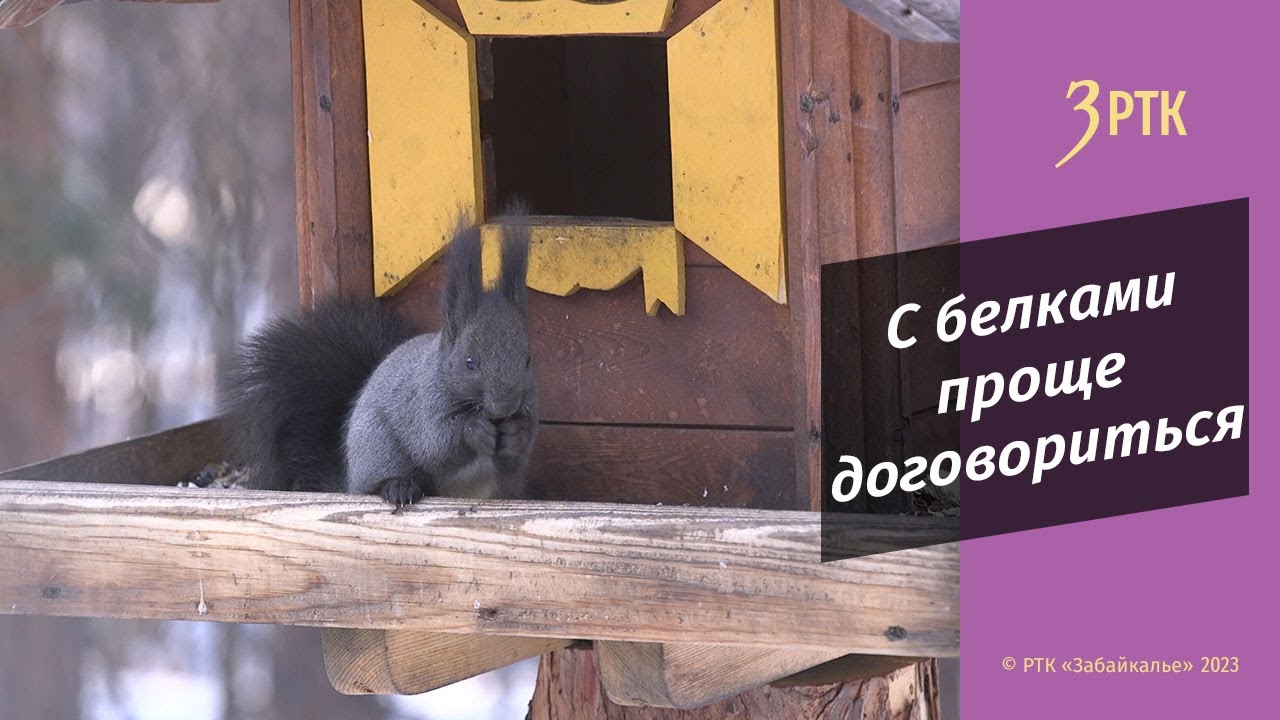 Фотограф-любитель из Читы попала на National geographic