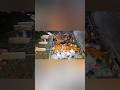 Chicken Barbecues #shorts #shortsvideo #shortsviral #shortsfeed