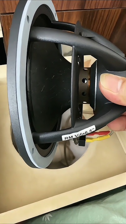Vifa 6.5 inch midbass speaker