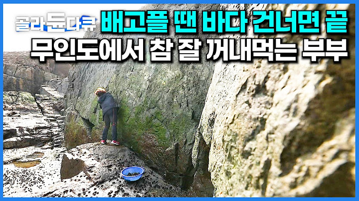 섬에서는 식비 걱정 없는 이유. 무인도 가니 먹을 게 끊임없이 나오네! 참 잘 해먹는 섬마을 부부｜한국기행｜#골라듄다큐