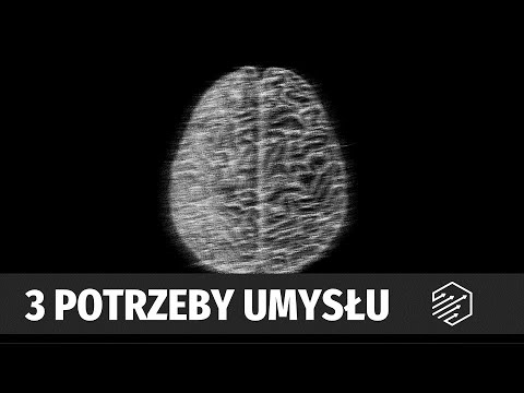 Wideo: 5 Zaskakujące sposoby, w jakie Twój pies może czytać twój umysł