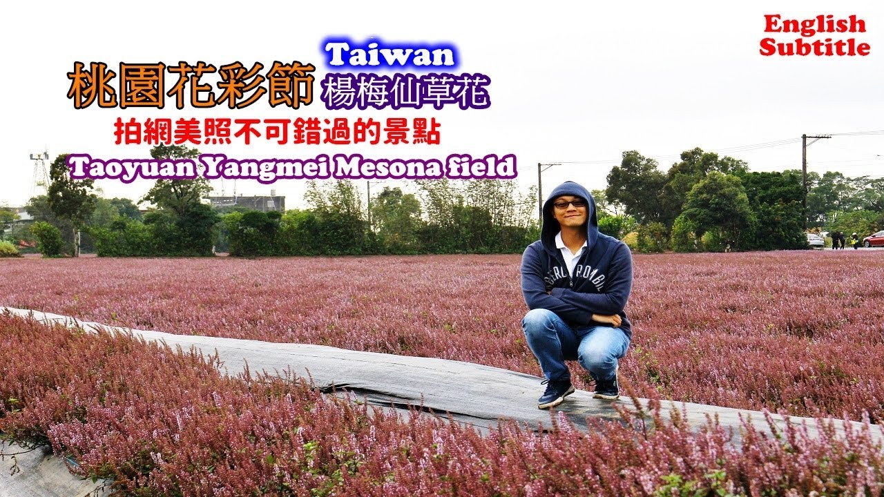 kayak flight Travel in Taiwan, Mesona field in Taoyuan Flower Festival