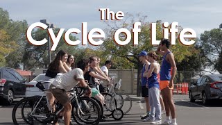 The Cycle of Life | 47 Hour Filmmaking Challenge