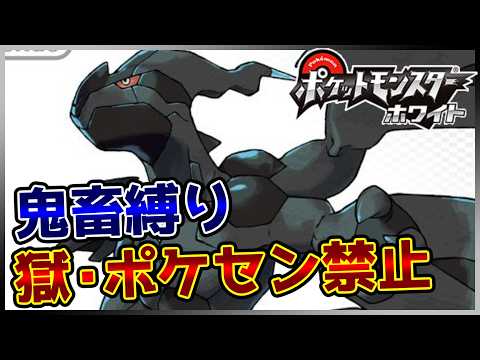 【鬼畜縛り】獄・ポケモンセンター禁止マラソン～イッシュ編～#112【ポケモンBW】