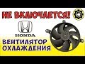 Не Включается Вентилятор Охлаждения. (#AvtoservisNikitin)