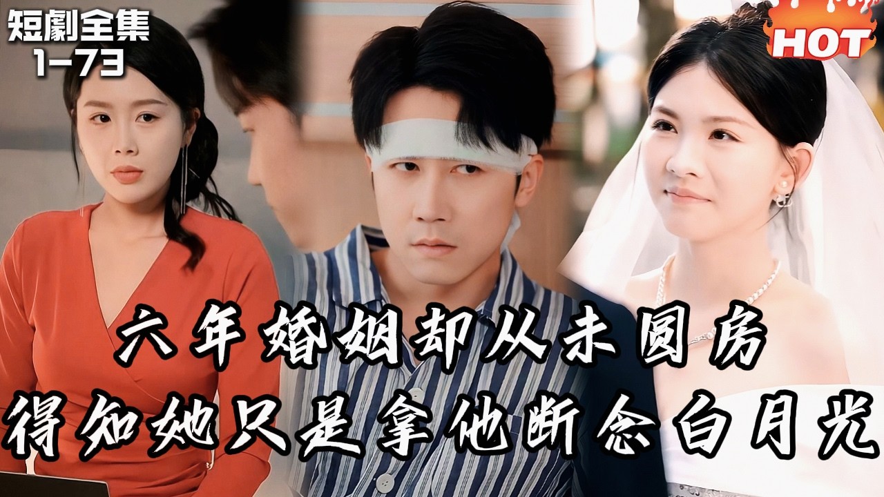Multi |男頻最新短劇🔥他用尽手段追到高冷女神，六年婚姻却从未圆房！得知她只是拿他断念白月光——他转身离开，她才发现真正深爱的人是他！丨一万颗雨滴的距离丨追夫火葬场