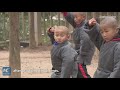 5-year-old Kung Fu boy learns martial arts at China's Shaolin Temple