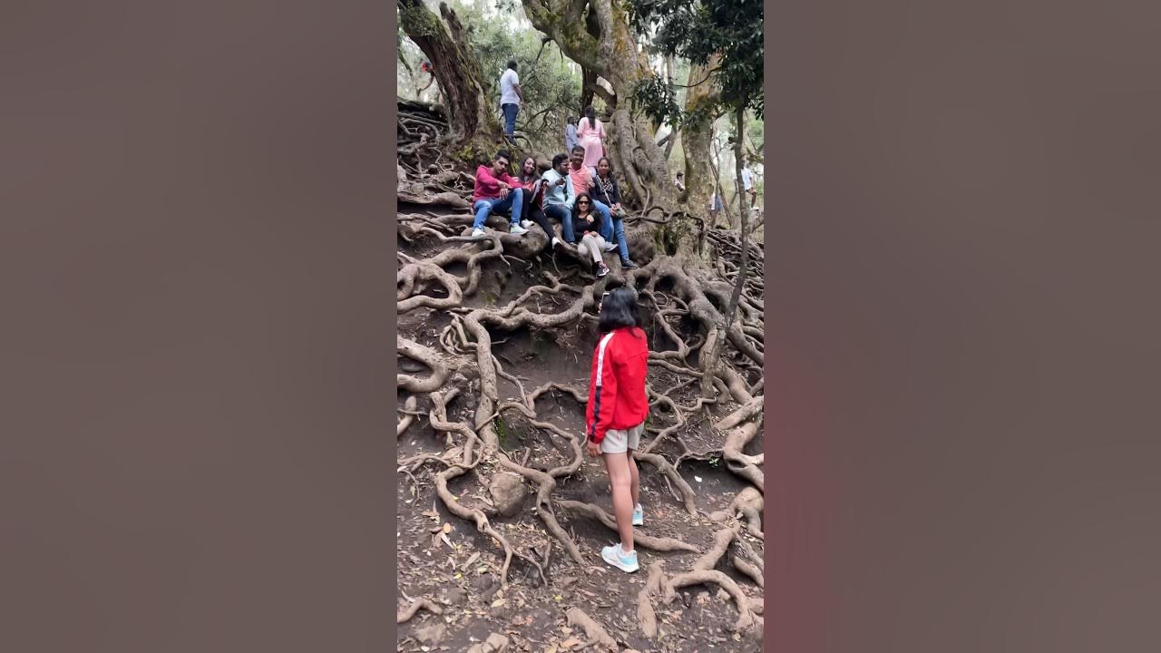 Guna Cave Devil’s Kitchen kodaikanal YouTube