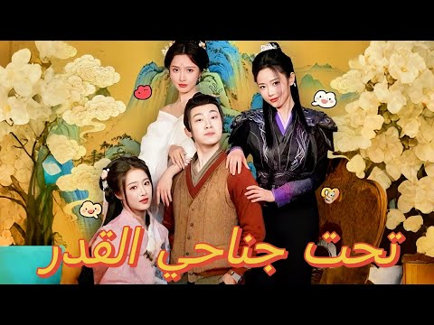 تحت جناحي القدر 