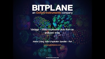 10.1 Imaris Vantage: Make impressive plots from an analysed image.
