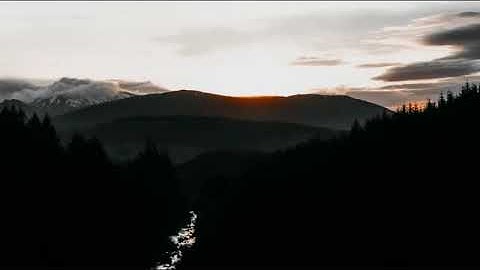 ما أجملها تلاوه ترق لها القلوب لاتوصف | طارق محمد