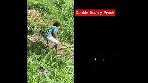 Double Scarry Prank #funny #comedy #humor #trending #viral #shortsfeed #ytshorts #birds