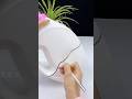 Creative Ideas For Home Decor Planting#shortfeed